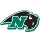 Nichols Bison