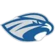 Albertus Magnus Falcons
