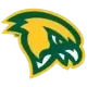 Fitchburg Falcons