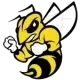Randolph Macon Yellow Jackets