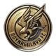 Boynagalava FC