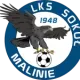 Sokół Malinie