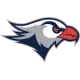 Lackawanna Falcons
