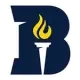 Bushnell Beacons