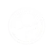 Orion United