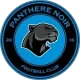 Panthere Noir FC