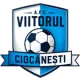 AFC Viitorul Ciocănești
