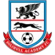 Solihull Youth Academy
