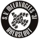 Meervogels ‘31