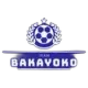 Team Bakayoko