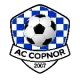 AC Copnor Reserves
