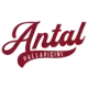 Antal Pallavicini