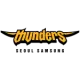 Seoul Samsung Thunders