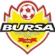 Bursa Soğanlıspor U15