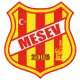Mesev Gençlikspor U15