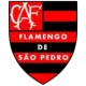 CA Flamengo de São Pedro U11
