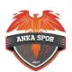 Anka Sportif Faaliyetler U17