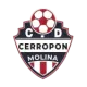 Academia Cerropon Molina U14
