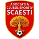 ACS Scăești