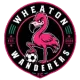 Wheaton Wanderers FC