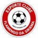 Flamengo da Siriema