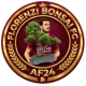 Florenzi Bonsai