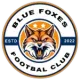 Blue Foxes FC