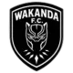 Wakanda FC