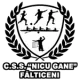 CN Nicu Gane Fălticeni U17