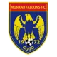 Munxar Falcons FC