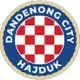 Dandenong City FC