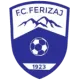 KF Ferizaj