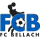 FC Bellach