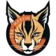 Çukurova basketbol Mersin