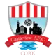 Castleview AFC