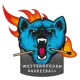 Wetterbygden Stars