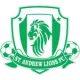 St. Andrew Lions