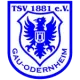 TSV Gau-Odernheim