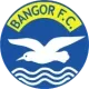 Bangor Ladies