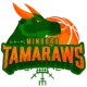 Mindoro Tamaraws