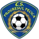 ACS Progresul Pecica