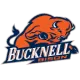 Bucknell Bison