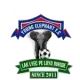 Young Elephants Academy