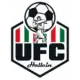 UFC Hallein