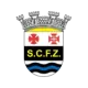 SC Ferreira do Zêzere