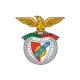 S Abrantes e Benfica