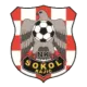 NK Sokol Rajić