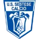 Sestese Calcio