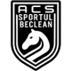 ACS Sportul Beclean