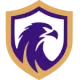 Falcon-SE U20